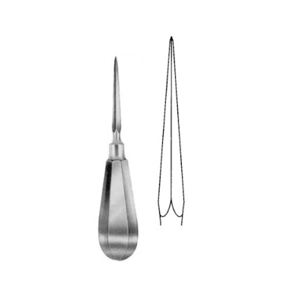 Bone Awl | 6 1/4
