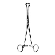 Babcock Forceps | 9 1/2" (241mm)
