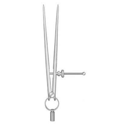 Bone Compass | 8" (203mm)