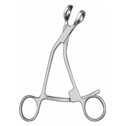 Bone Holding Forceps | 6"  (152mm) W/ Fenestration