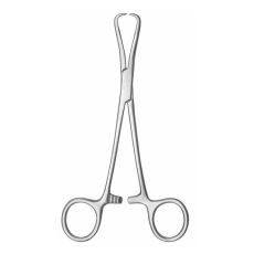 Glenoid Perforating Forceps | Slightly Curved