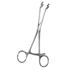 Ikuta Bone Clamp | Curved