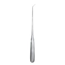 Rasp Salehi Lumbar Foraminal | 9.5" (241mm)