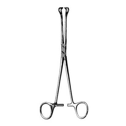 Babcock Forceps | 6 1/4" (159mm)