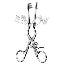 Beckman-Weitlaner Retractor | 9 1/2" (241mm) Blunt