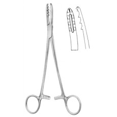 Walton Cartilage Clamp | 8